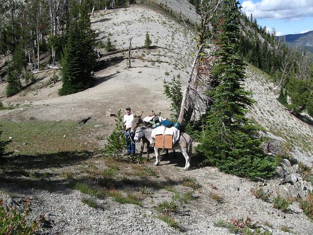 021.JPG - Saddle