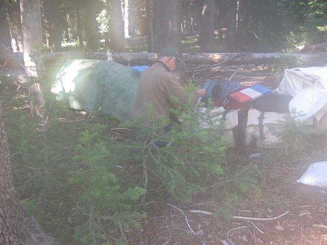 028.JPG - Morning Fog