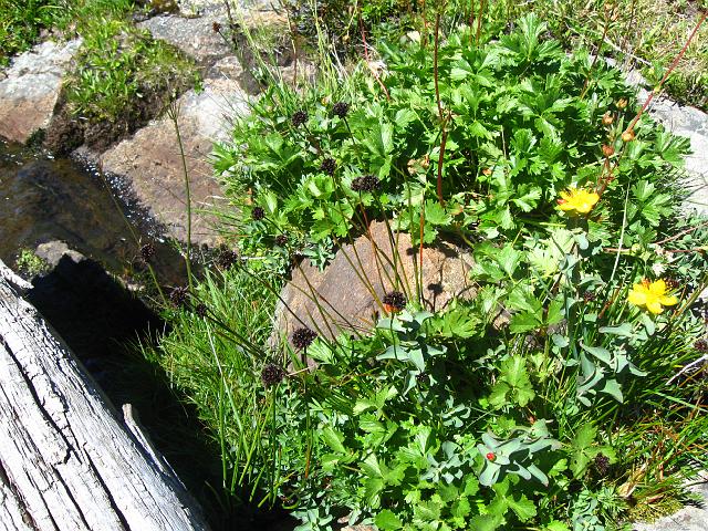 051.JPG