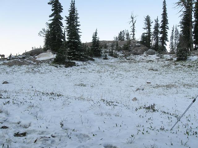 113.JPG - Nippy Morning