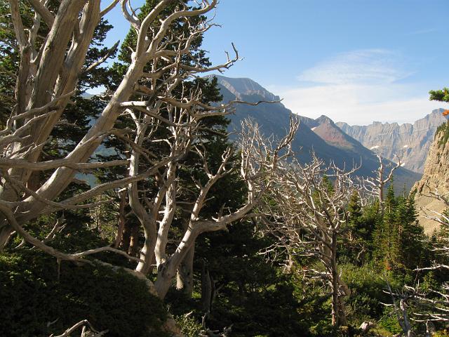 081.JPG - Apikuni Falls Trail