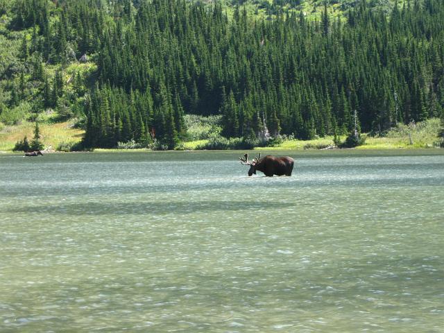 088.JPG - Bullhead Lake