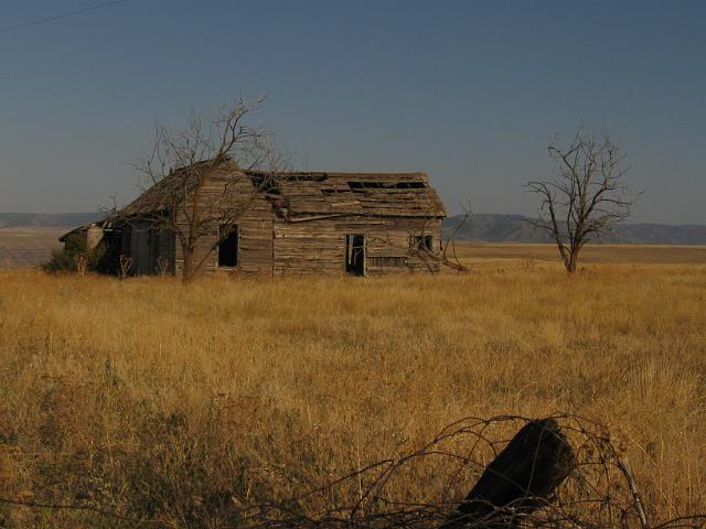 131.JPG - Oregon Hwy 3